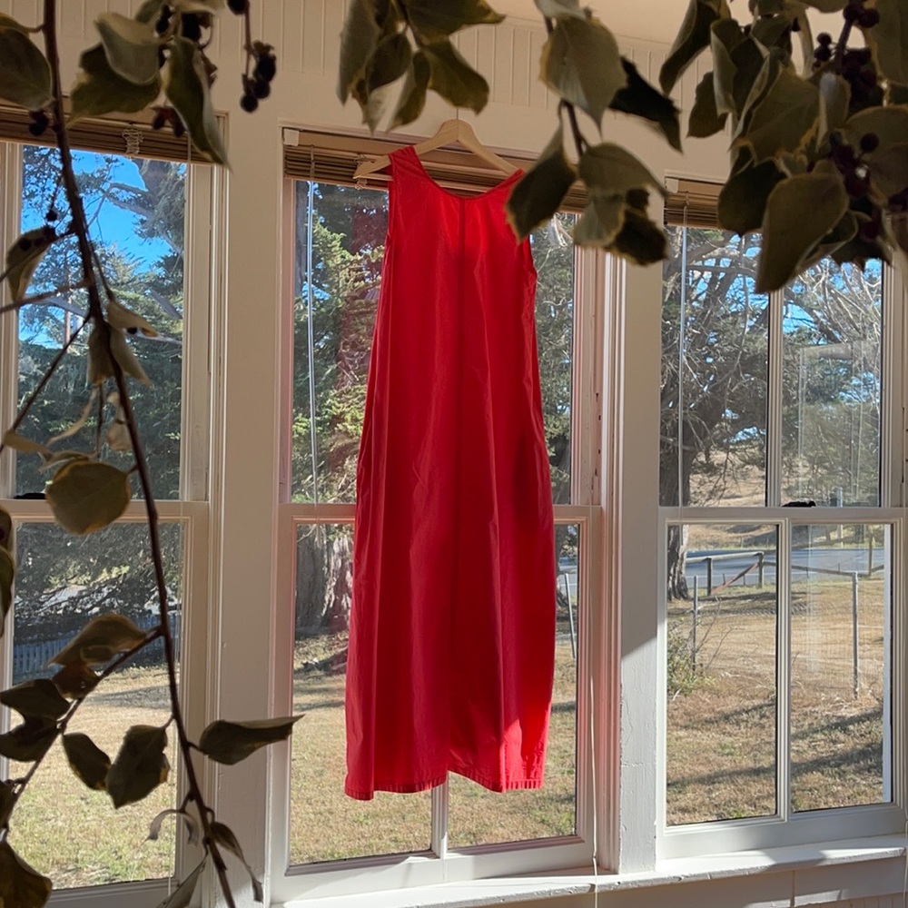 Cos trapeze dress